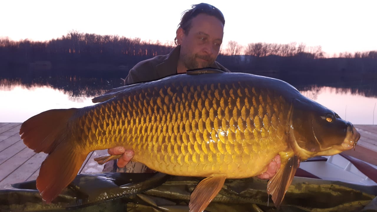 Karpfenangeln am Teich Thallern Galerie
